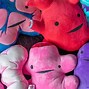 Image result for Human Organs Plushies