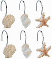 Image result for Brass Seashell Shower Curtain Hooks