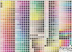 Image result for Pantone Color Palette