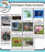 Image result for Small State of Michigan Symbol