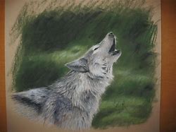 Image result for PanPastel Wolf