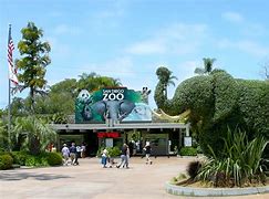 Image result for Dog with Big Zoo