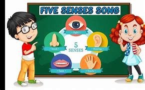 Image result for Senses Song for Kids