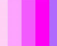 Image result for Purple and Pink Color