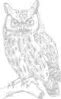 Image result for Owl Clip Art