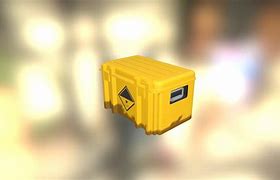 Image result for What CS Cases Can You Buy