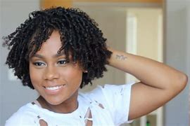 Image result for Natural 4C Protective Hairstyles