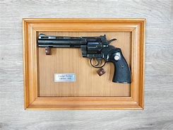 Image result for Revolver Wall Mount