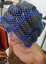 Image result for Hair Nets for Roller Sets