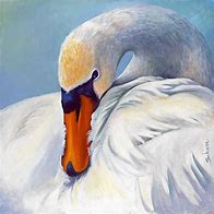 Image result for Swan Painting