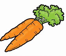 Image result for Cartoon Carrot with No Leaves