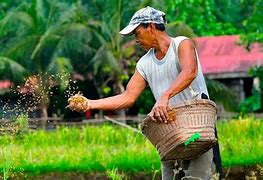 Image result for News Regardung Supporting Farmers