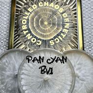 Image result for Pan Cyan BVI