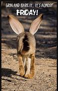 Image result for Happy Friday Bunny Meme