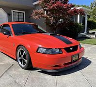 Image result for 2004 mach 1 orange photos