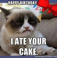 Image result for Grumpy Cat Happy Birthday Meme