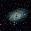 Image result for Black Dog Galaxy