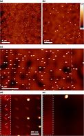 Image result for Quantum Dots AFM Image