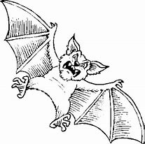 Image result for Bat Coloring Pages