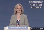 Image result for Liz Truss Blue Dress