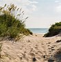 Image result for Outer Banks North Carolina Beach