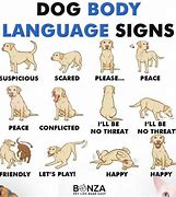 Puppy Body Language 的图像结果