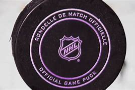 Image result for Hockey Pucks Frozen