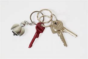 Image result for Key Chain Latch