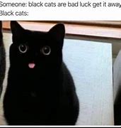 Image result for Black Cat Haa Meme