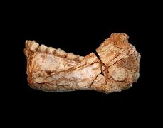 Image result for Oldest Human Structure On Earth
