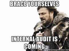 Image result for Internal Audit Funny Memes