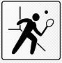 Image result for Squash Sport Ball