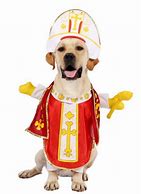 Image result for Dog Pope Costume