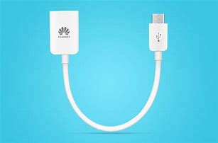 Image result for Mini USB OTG Cable