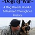 Image result for War Dog Breeds