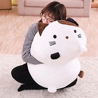 Image result for Cute Fat Cat Plushie