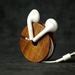 Image result for Wood Ear Buds