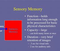 Image result for Types of Memory PPT