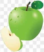 Image result for Green Apple Slices Clip Art