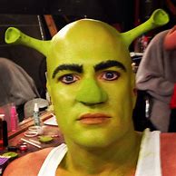 Image result for Funny Shrek Cosplay