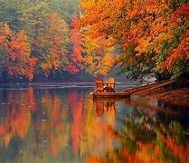 Image result for Maine Fall 4K