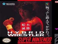 Image result for Hybrid Wrestler Super Famicom Box
