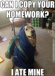 Image result for School Homework Memes