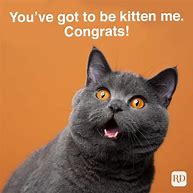 Image result for Congrats Cat Meme