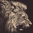 Image result for Fierce Lion Clip Art Black and White