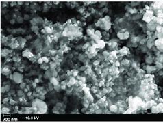 Image result for Li2CO3 Powder Sem