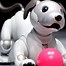 Image result for Robotic Dog Future Toy
