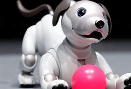 Image result for domestic robotic pet