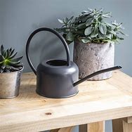 Image result for Watering Can Indoor Grow