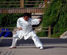 Image result for Kung Fu Poses
